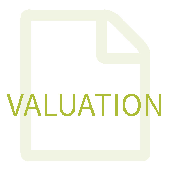 Valuation