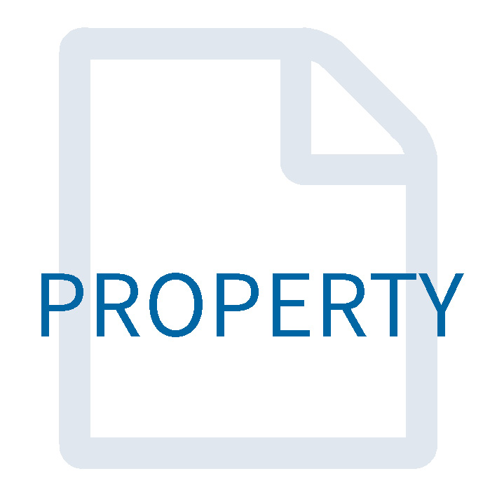 Property Report